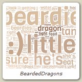 BeardedDragons