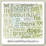 BeforeNAfterAdoption
