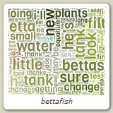 bettafish