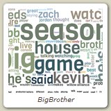 BigBrother