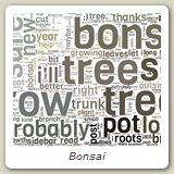 Bonsai