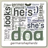 germanshepherds