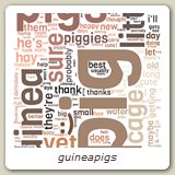 guineapigs