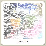 parrots