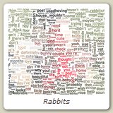 Rabbits