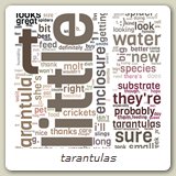 tarantulas